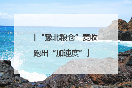 “豫北粮仓”麦收跑出“加速度”