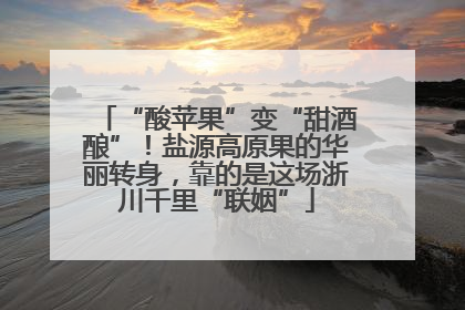 “酸苹果”变“甜酒酿”！盐源高原果的华丽转身，靠的是这场浙川千里“联姻”