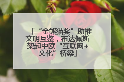 “金熊猫奖”助推文明互鉴，布达佩斯架起中欧“互联网+文化”桥梁
