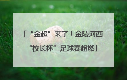 “金超”来了！金陵河西“校长杯”足球赛超燃