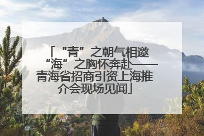 “青”之朝气相邀 “海”之胸怀奔赴——青海省招商引资上海推介会现场见闻