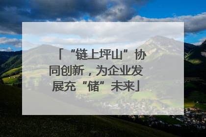 “链上坪山”协同创新，为企业发展充“储”未来
