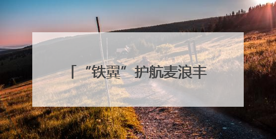 “铁翼”护航麦浪丰 平凉“一喷三防”织就夏粮丰收防护网