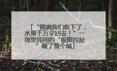 “锦旗我们收下了，水果千万拿回去！”一场警民间的“极限拉扯”暖了整个城