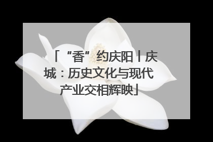 “香”约庆阳丨庆城：历史文化与现代产业交相辉映