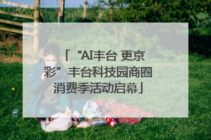 “AI丰台 更京彩”丰台科技园商圈消费季活动启幕