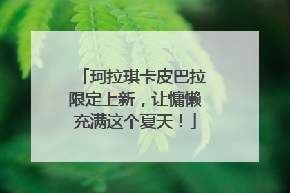 珂拉琪卡皮巴拉限定上新，让慵懒充满这个夏天！