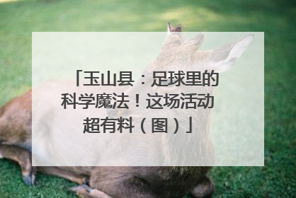 玉山县：足球里的科学魔法！这场活动超有料（图）
