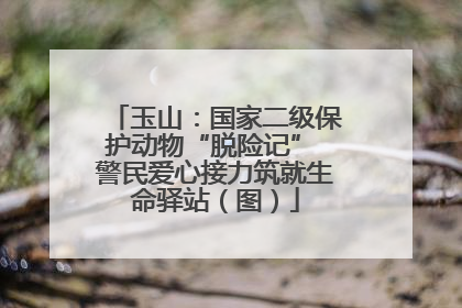 玉山：国家二级保护动物“脱险记” 警民爱心接力筑就生命驿站（图）