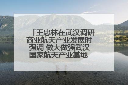 王忠林在武汉调研商业航天产业发展时强调 做大做强武汉国家航天产业基地 打造具有全国影响力的“中国星谷”