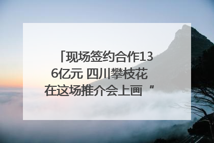 现场签约合作136亿元 四川攀枝花在这场推介会上画“图谱”列“清单”