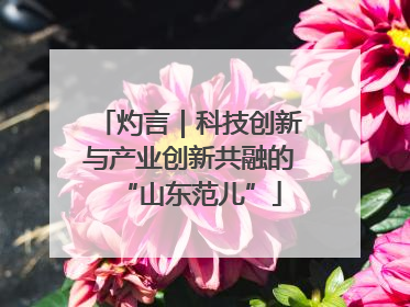 灼言｜科技创新与产业创新共融的“山东范儿”