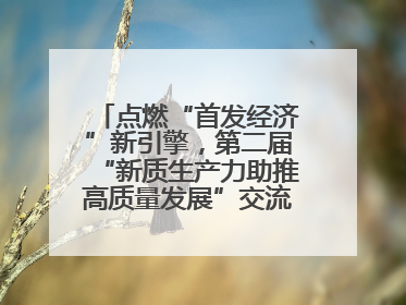 点燃“首发经济”新引擎，第二届“新质生产力助推高质量发展”交流会在成都举行