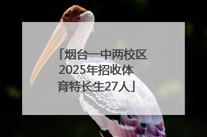 烟台一中两校区2025年招收体育特长生27人