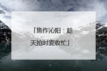 焦作沁阳：趁天抢时麦收忙