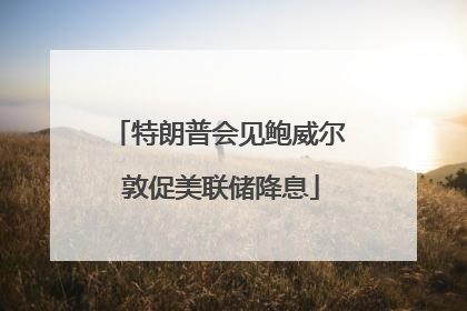 特朗普会见鲍威尔 敦促美联储降息