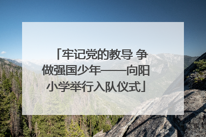 牢记党的教导 争做强国少年——向阳小学举行入队仪式