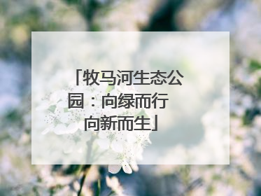 牧马河生态公园：向绿而行 向新而生