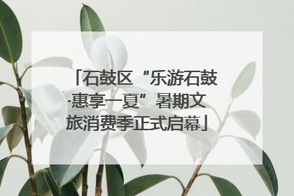 石鼓区“乐游石鼓·惠享一夏”暑期文旅消费季正式启幕