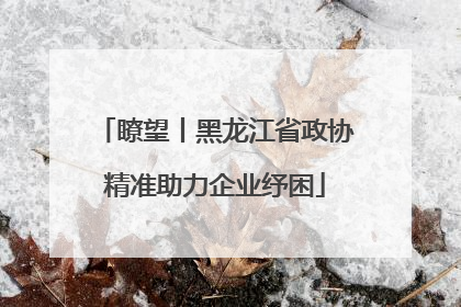 瞭望丨黑龙江省政协精准助力企业纾困