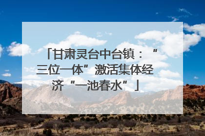 甘肃灵台中台镇：“三位一体”激活集体经济“一池春水”