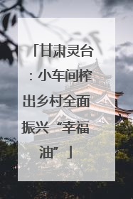 甘肃灵台：小车间榨出乡村全面振兴“幸福油”