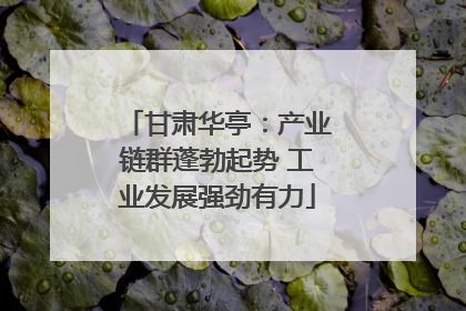 甘肃华亭：产业链群蓬勃起势 工业发展强劲有力