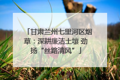 甘肃兰州七里河区烟草：深耕廉洁土壤 劲扬“丝路清风”
