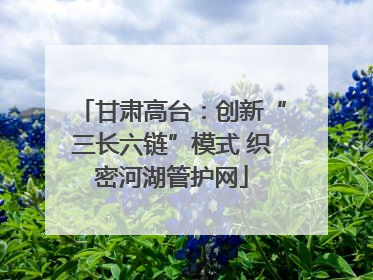 甘肃高台：创新“三长六链”模式 织密河湖管护网