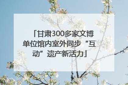 甘肃300多家文博单位馆内室外同步“互动”遗产新活力