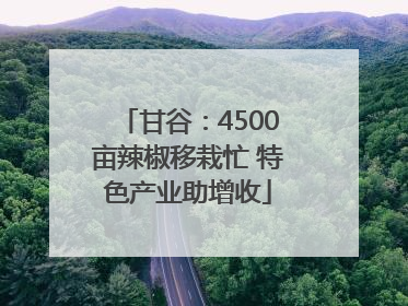 甘谷：4500亩辣椒移栽忙 特色产业助增收