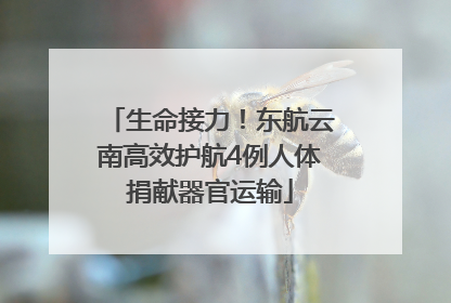 生命接力！东航云南高效护航4例人体捐献器官运输