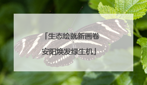生态绘就新画卷 安阳焕发绿生机