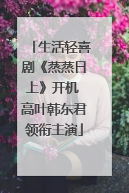 生活轻喜剧《蒸蒸日上》开机 高叶韩东君领衔主演