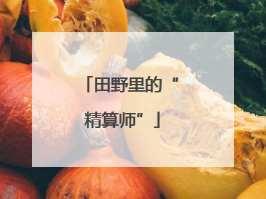 田野里的“精算师”