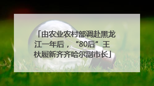 由农业农村部调赴黑龙江一年后，“80后”王杕履新齐齐哈尔副市长