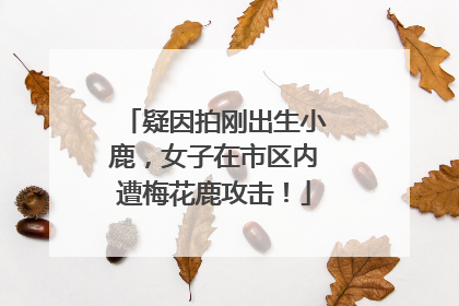 疑因拍刚出生小鹿，女子在市区内遭梅花鹿攻击！