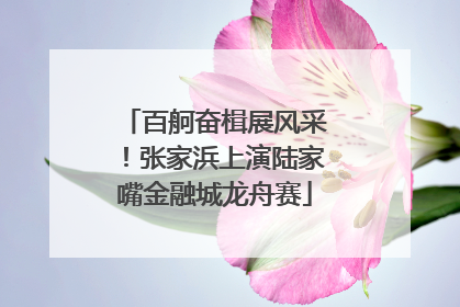 百舸奋楫展风采！张家浜上演陆家嘴金融城龙舟赛