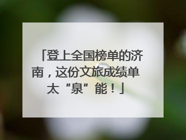 登上全国榜单的济南，这份文旅成绩单太“泉”能！