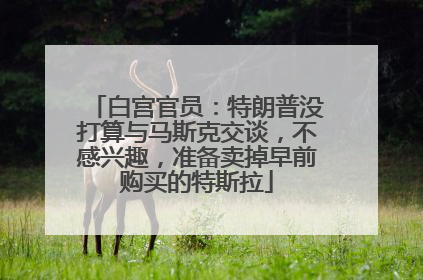 白宫官员：特朗普没打算与马斯克交谈，不感兴趣，准备卖掉早前购买的特斯拉