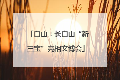 白山：长白山“新三宝”亮相文博会
