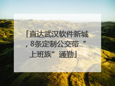 直达武汉软件新城，8条定制公交带“上班族”通勤