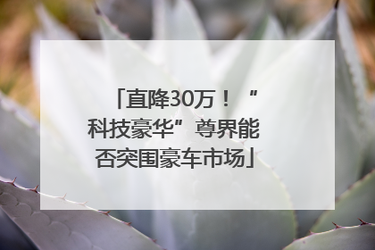 直降30万！“科技豪华”尊界能否突围豪车市场