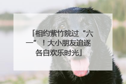 相约紫竹院过“六一”！大小朋友追逐各自欢乐时光