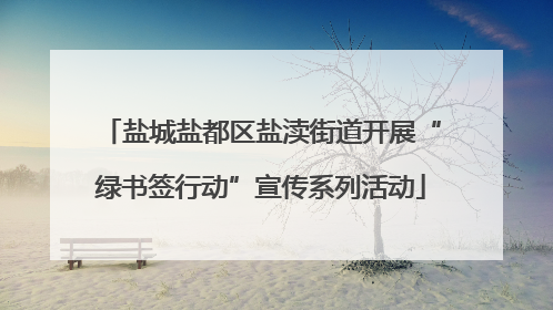 盐城盐都区盐渎街道开展“绿书签行动”宣传系列活动
