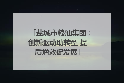 盐城市粮油集团：创新驱动助转型 提质增效促发展