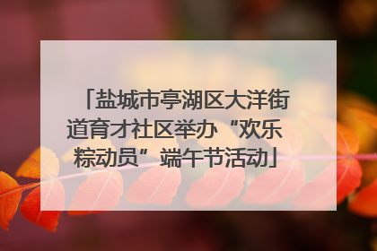 盐城市亭湖区大洋街道育才社区举办“欢乐粽动员”端午节活动