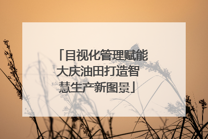 目视化管理赋能 大庆油田打造智慧生产新图景