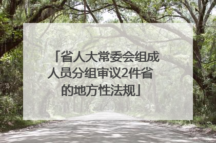 省人大常委会组成人员分组审议2件省的地方性法规