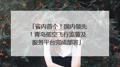 省内首个！国内领先！青岛低空飞行监管及服务平台完成部署